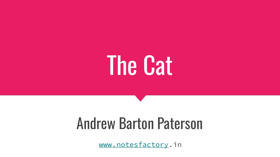 Read more about the article The Cat – Andrew Barton Paterson | WBBSE Class 10 English Solutions